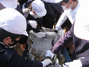 IMG_4159 IMG_4159