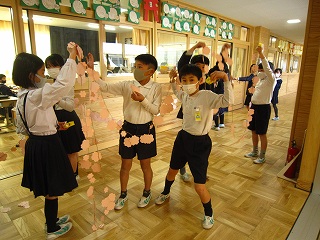 IMG_0232 IMG_0232