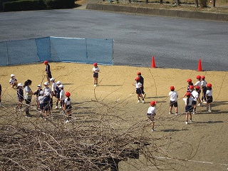 IMG_0245 IMG_0245