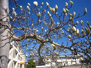 IMG_0312 IMG_0312