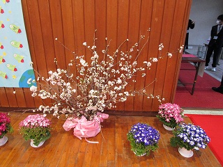 IMG_3458 IMG_3458