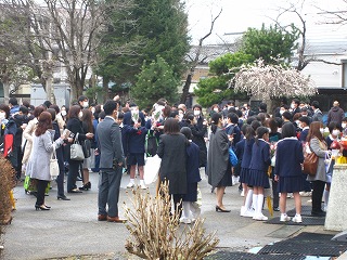 IMG_0352 IMG_0352