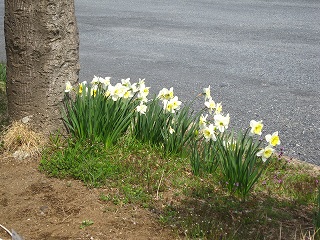 IMG_0501 IMG_0501
