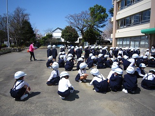 IMG_0135 IMG_0135