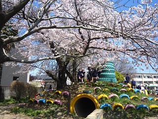 IMG_0134 IMG_0134