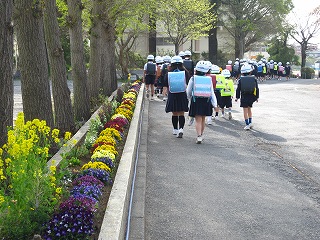 IMG_0070 IMG_0070