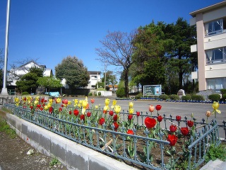 IMG_0138 IMG_0138