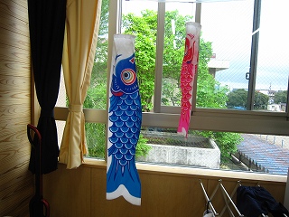 IMG_0279 IMG_0279