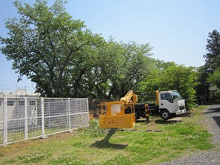 IMG_0177 IMG_0177