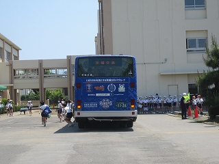 IMG_0179 IMG_0179