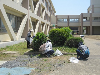 IMG_0166 IMG_0166