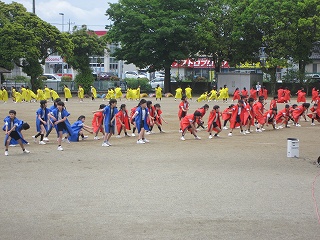 IMG_0232 IMG_0232