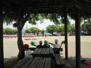 IMG_0261 IMG_0261