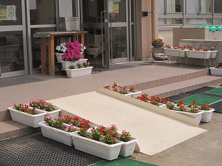 IMG_0288 IMG_0288