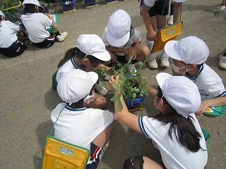 IMG_0285 IMG_0285