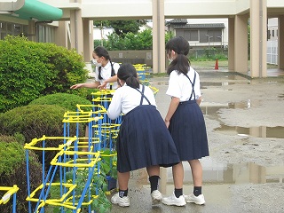 IMG_0294 IMG_0294
