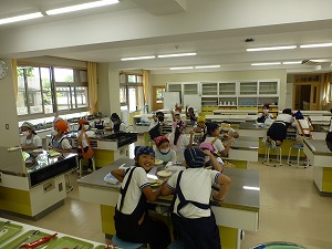 P1160184