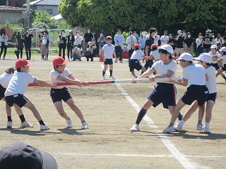 IMG_0313 IMG_0313
