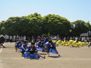 IMG_0320 IMG_0320