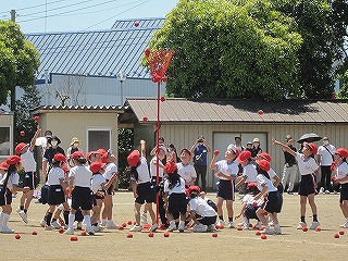 IMG_0349