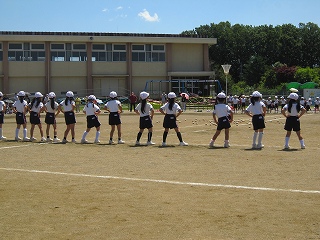 IMG_0333 IMG_0333