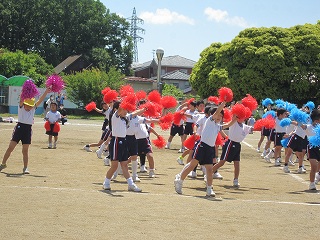 IMG_0345 IMG_0345