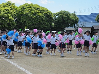 IMG_0351 IMG_0351
