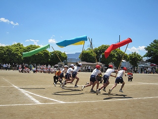 IMG_0356 IMG_0356