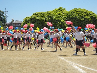 IMG_0387 IMG_0387