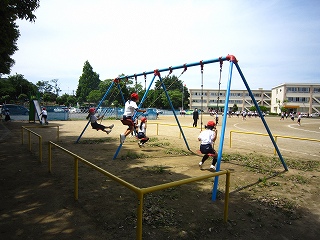 IMG_0041 IMG_0041