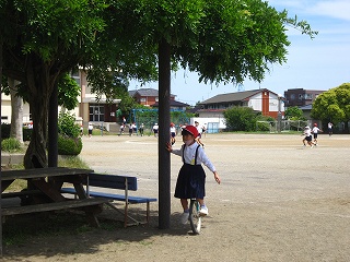 IMG_0031 IMG_0031