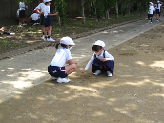 IMG_0038 IMG_0038