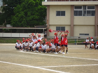 IMG_0121 IMG_0121
