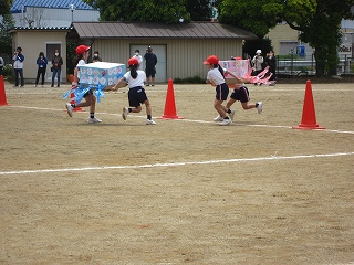 IMG_0214 IMG_0214