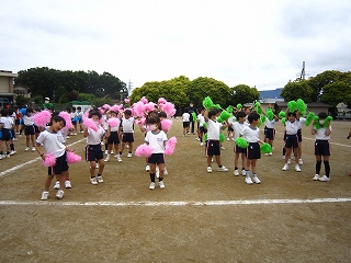 IMG_0264 IMG_0264