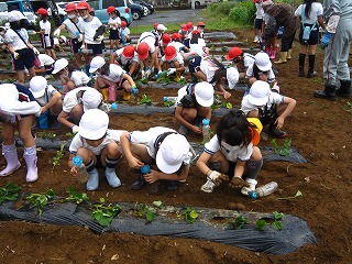 IMG_0293 IMG_0293