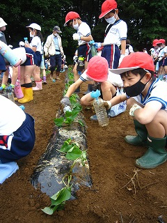 IMG_0290 IMG_0290