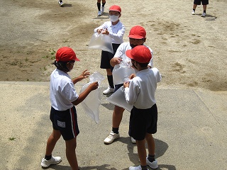IMG_0353 IMG_0353