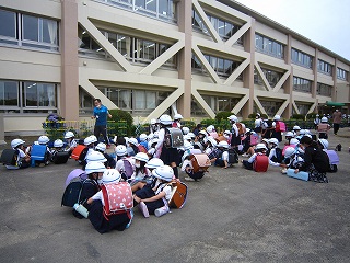 IMG_0412 IMG_0412