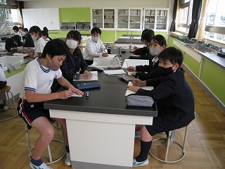 IMG_4567 IMG_4567