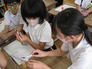 IMG_4773 IMG_4773