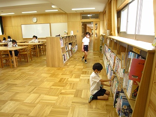 IMG_0317 IMG_0317