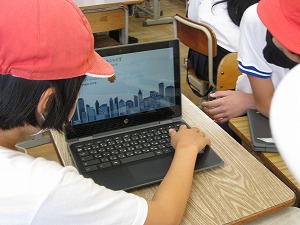 IMG_4914 IMG_4914