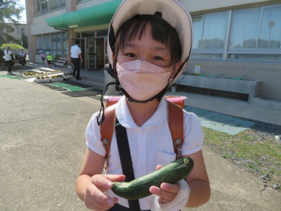 IMG_5364 IMG_5364