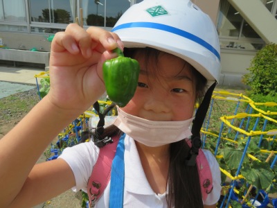 IMG_5367 IMG_5367