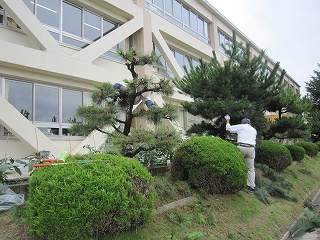 IMG_0005 IMG_0005
