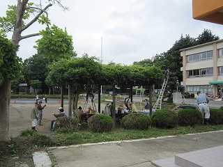 IMG_0007 IMG_0007