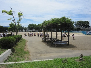 IMG_0100 IMG_0100