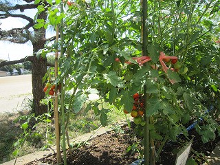 IMG_0136 IMG_0136