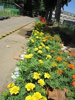 IMG_0142 IMG_0142